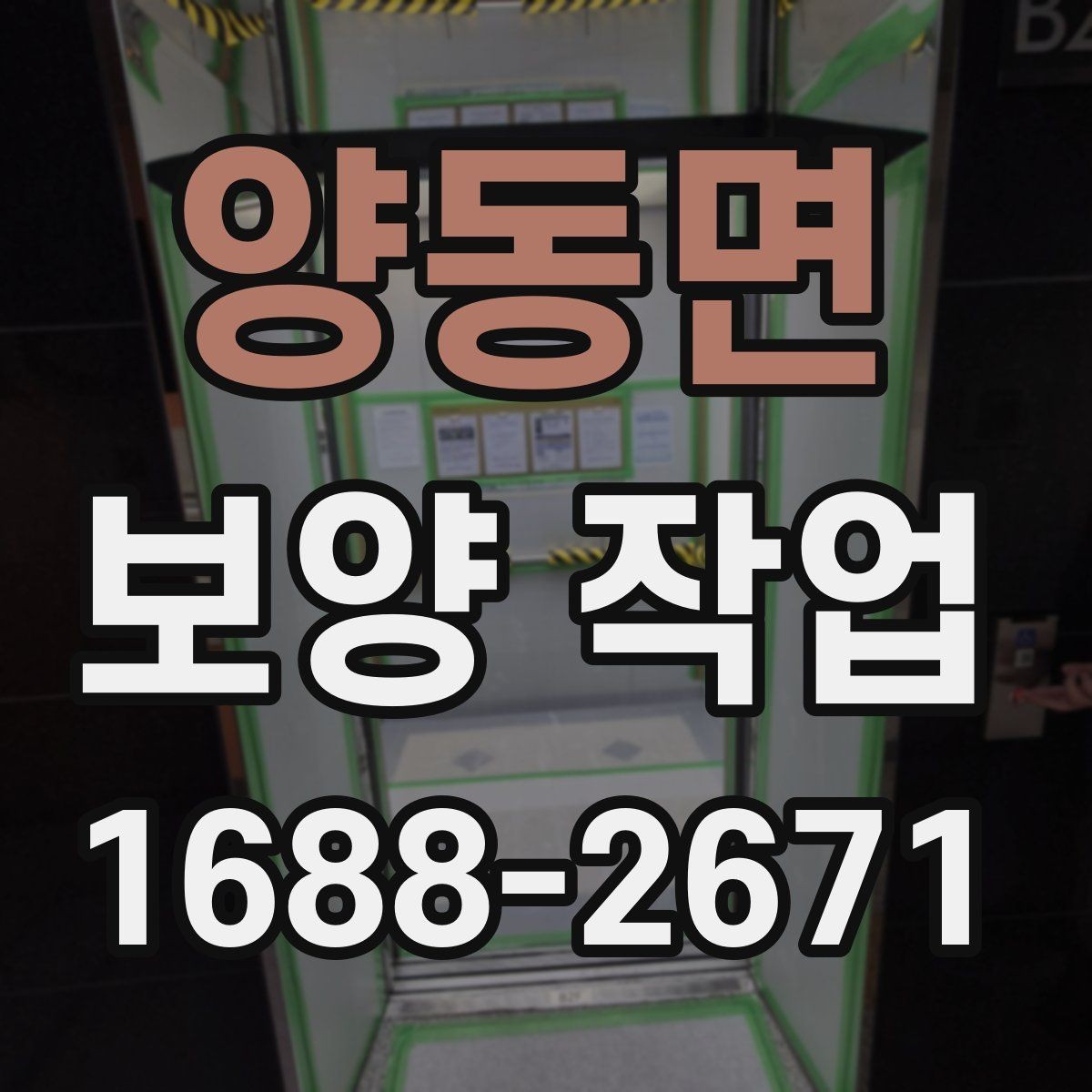 양동면 보양 작업 일정 잡을 때 참고할 내용