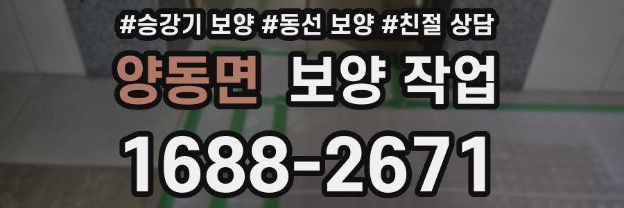 양동면 보양 작업