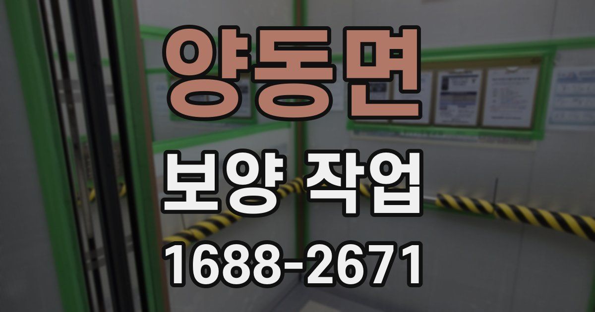 양동면 보양 작업