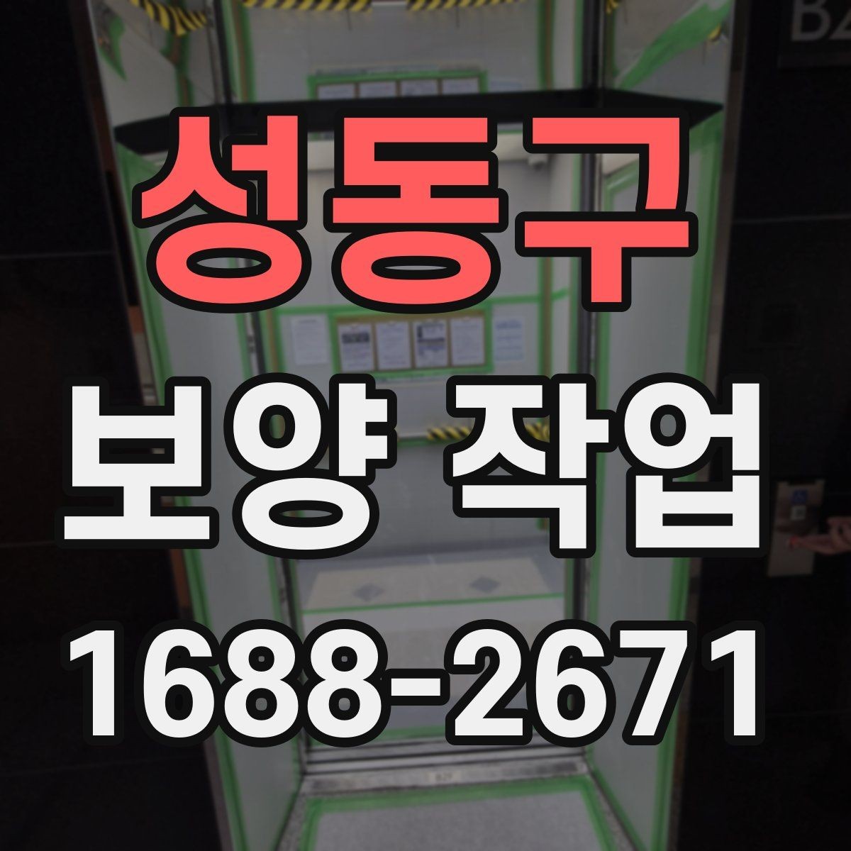성동구 보양 작업 준비물과 사전 점검 항목