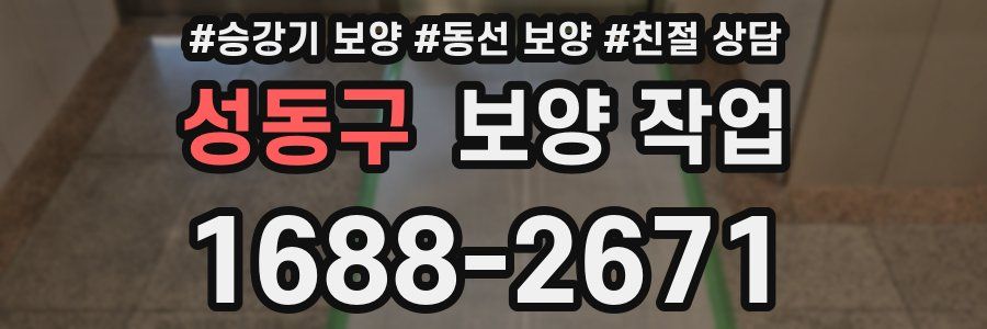 성동구 보양 작업