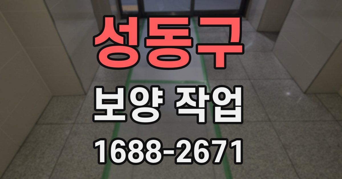 성동구 보양 작업