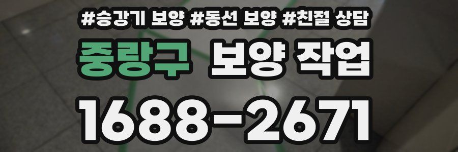 중랑구 보양 작업