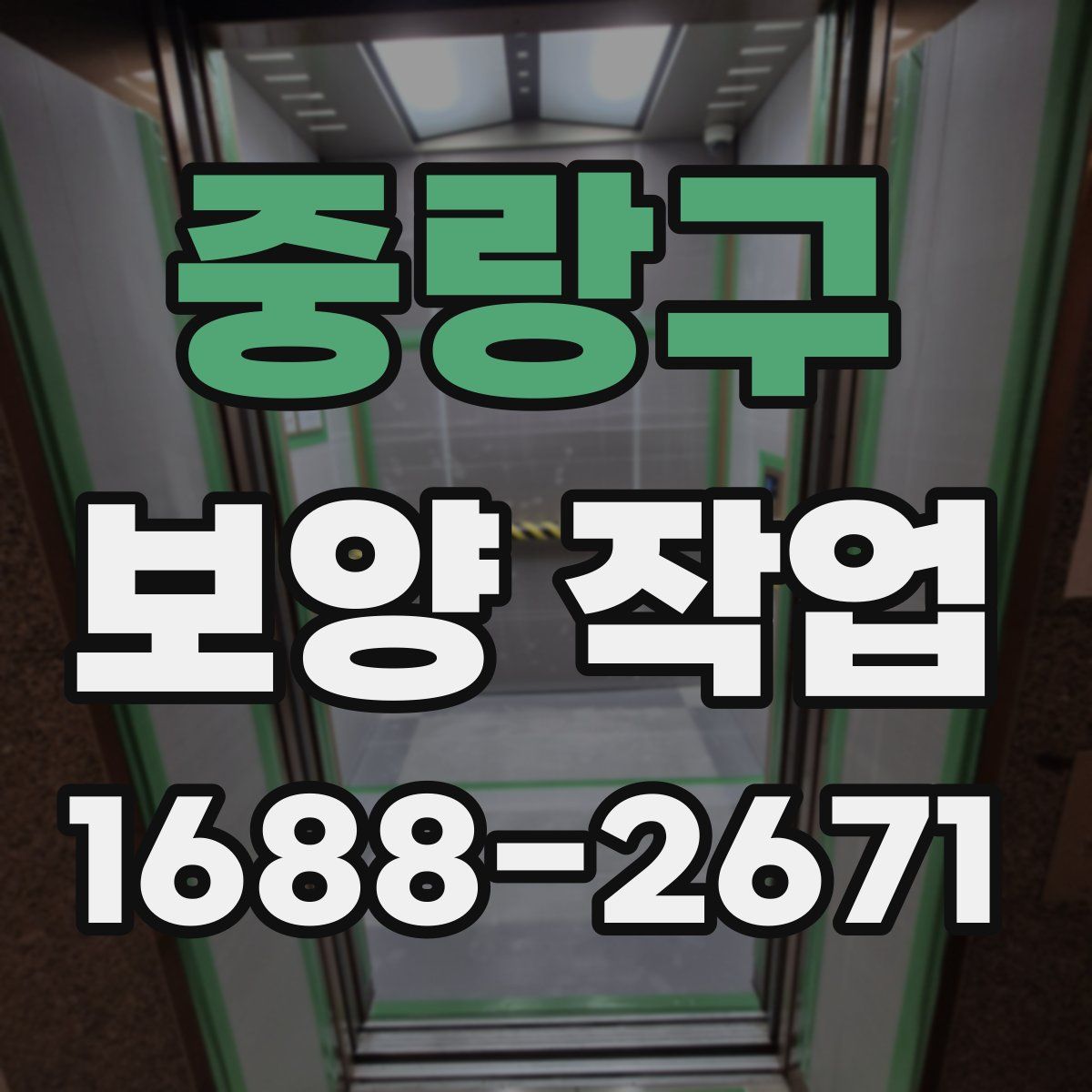 중랑구 보양 작업