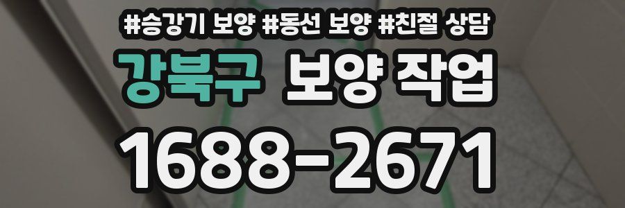 강북구 보양 작업