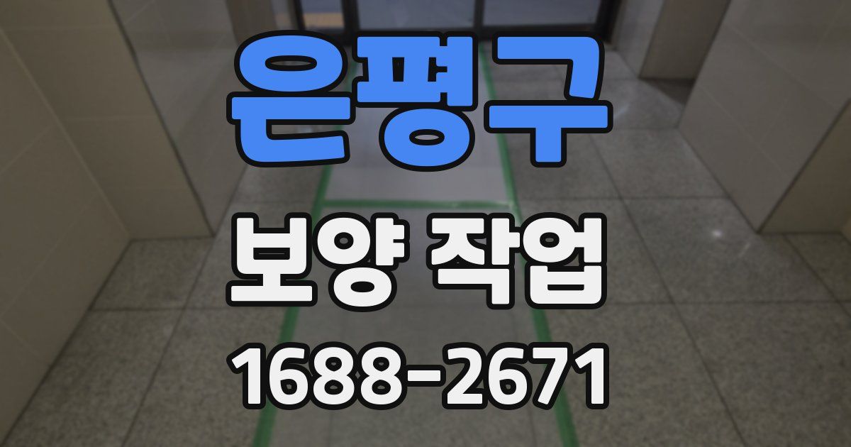 은평구 보양 작업