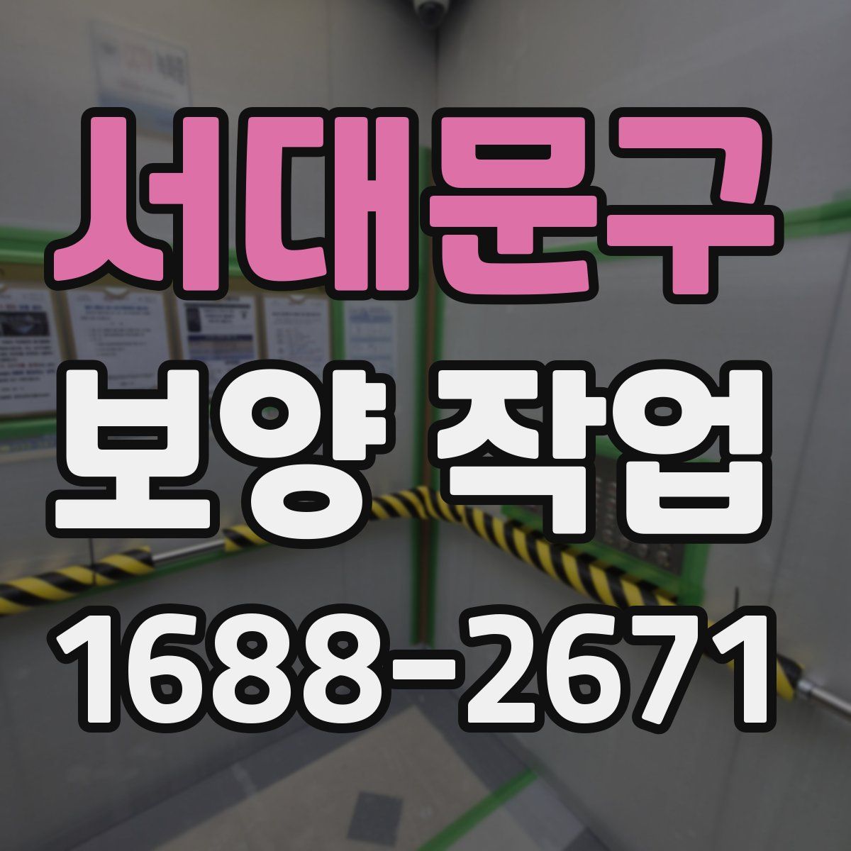 서대문구 보양 작업