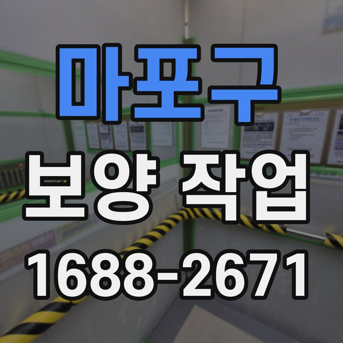 마포구 보양 작업