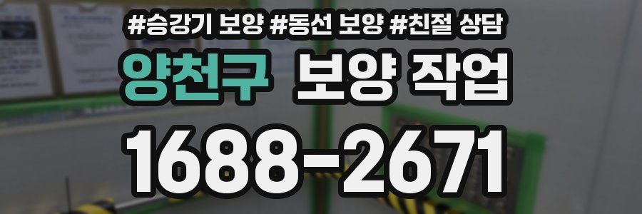 양천구 보양 작업