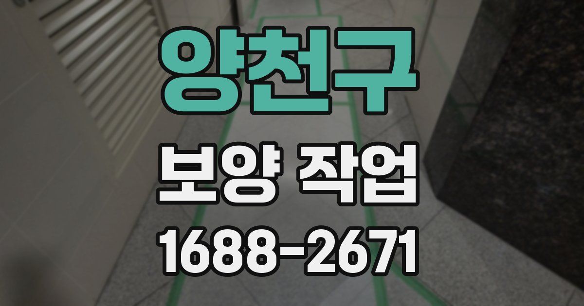 양천구 보양 작업