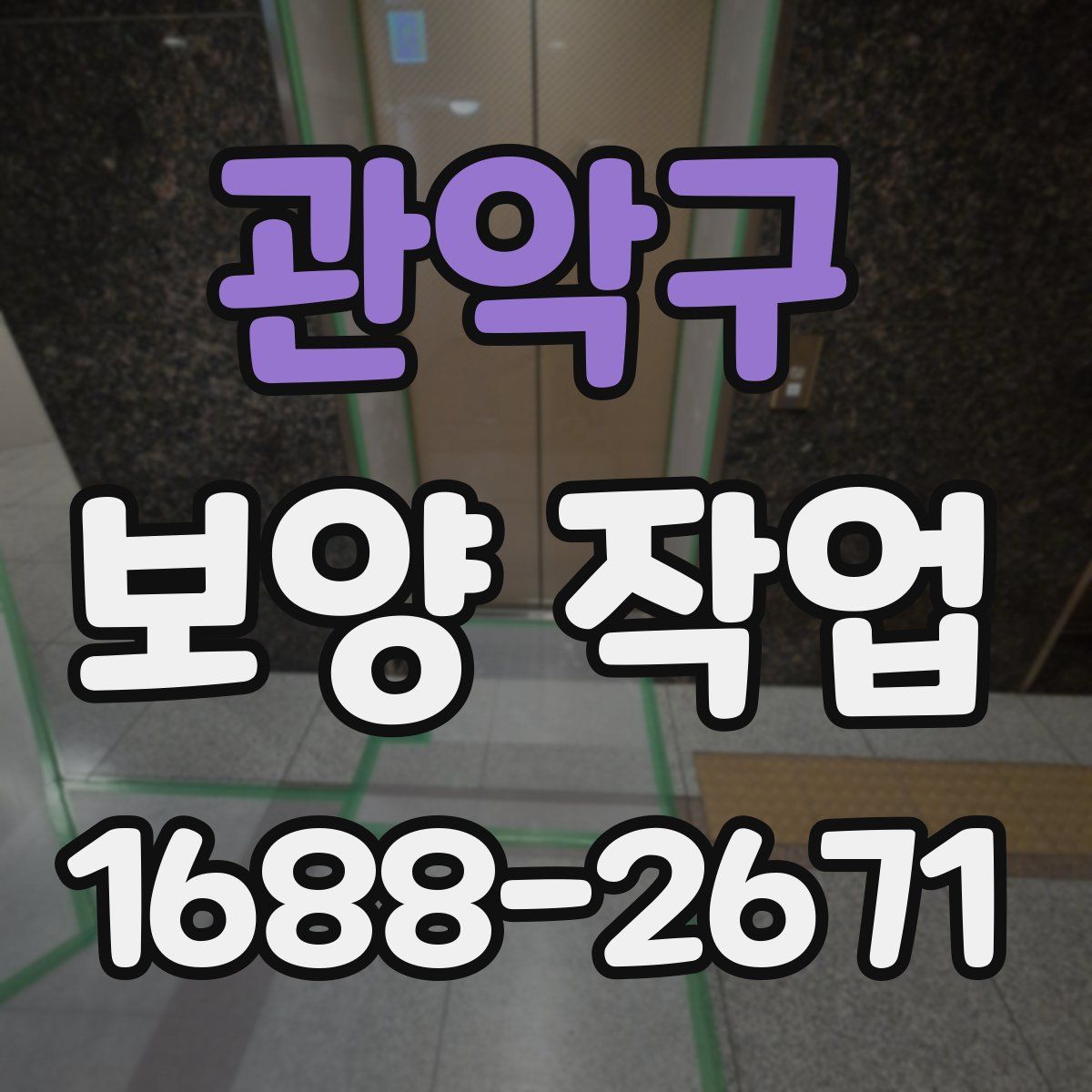 관악구 보양 작업