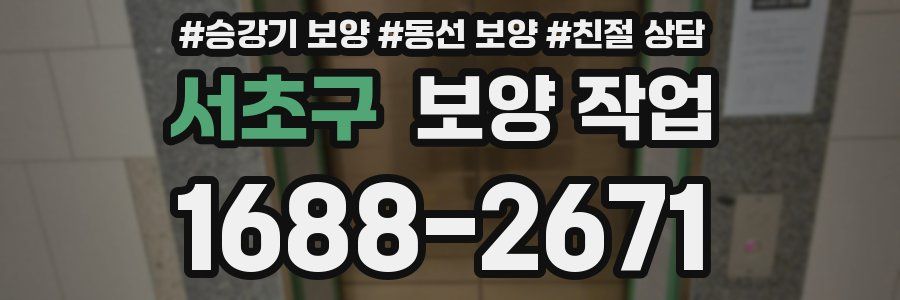 서초구 보양 작업