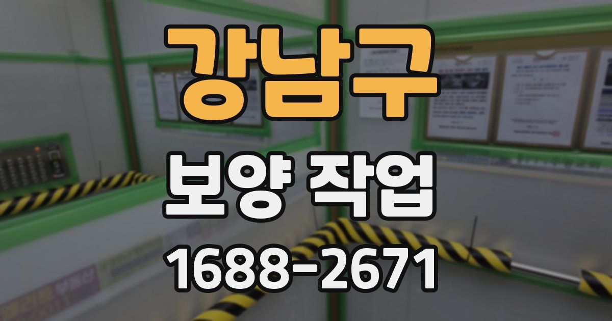 강남구 보양 작업