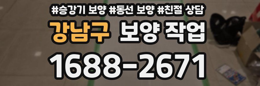 강남구 보양 작업
