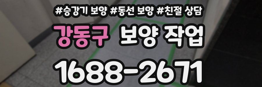 강동구 보양 작업