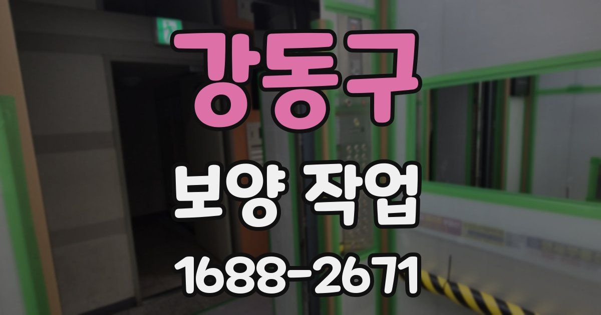 강동구 보양 작업