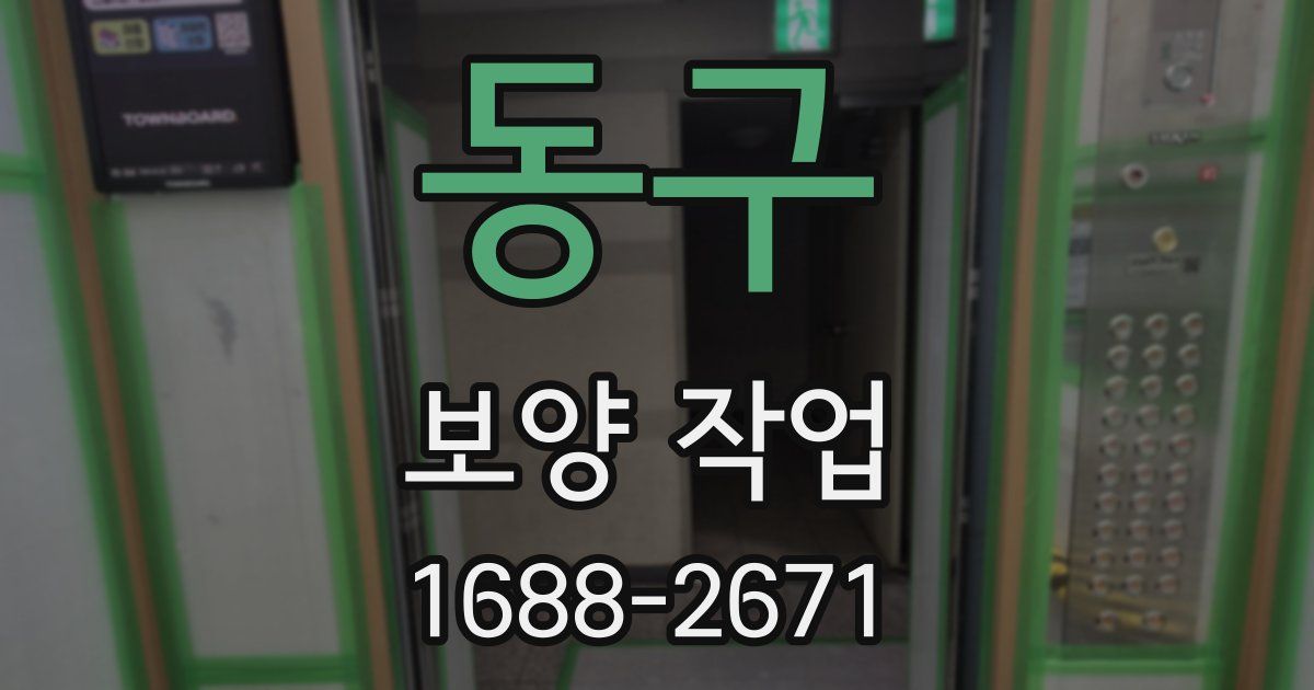 동구 보양 작업