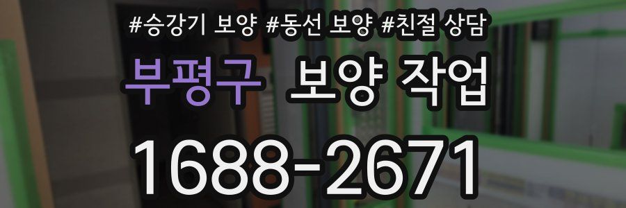 부평구 보양 작업