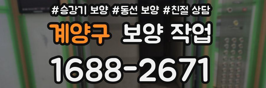 계양구 보양 작업