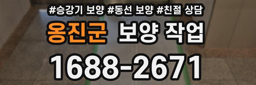 옹진군 보양 작업