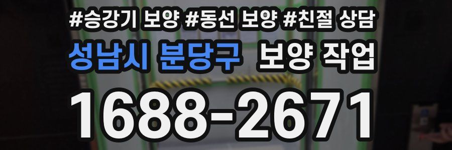 성남시 분당구 보양 작업