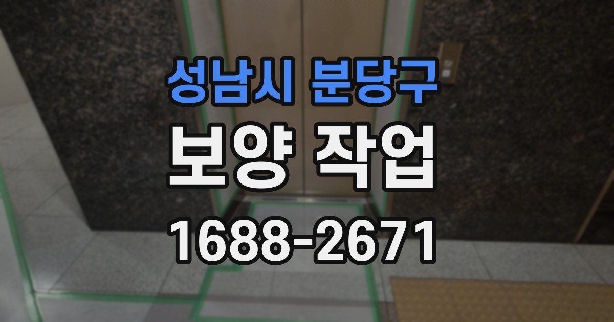 성남시 분당구 보양 작업