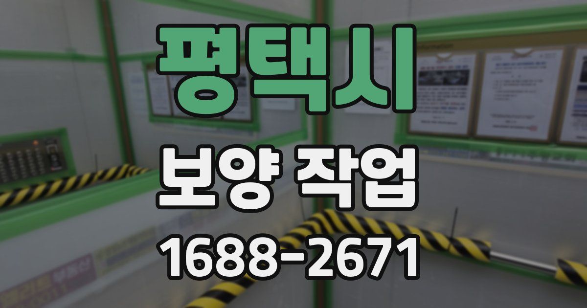 평택시 보양 작업