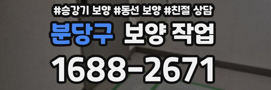 분당구 보양 작업