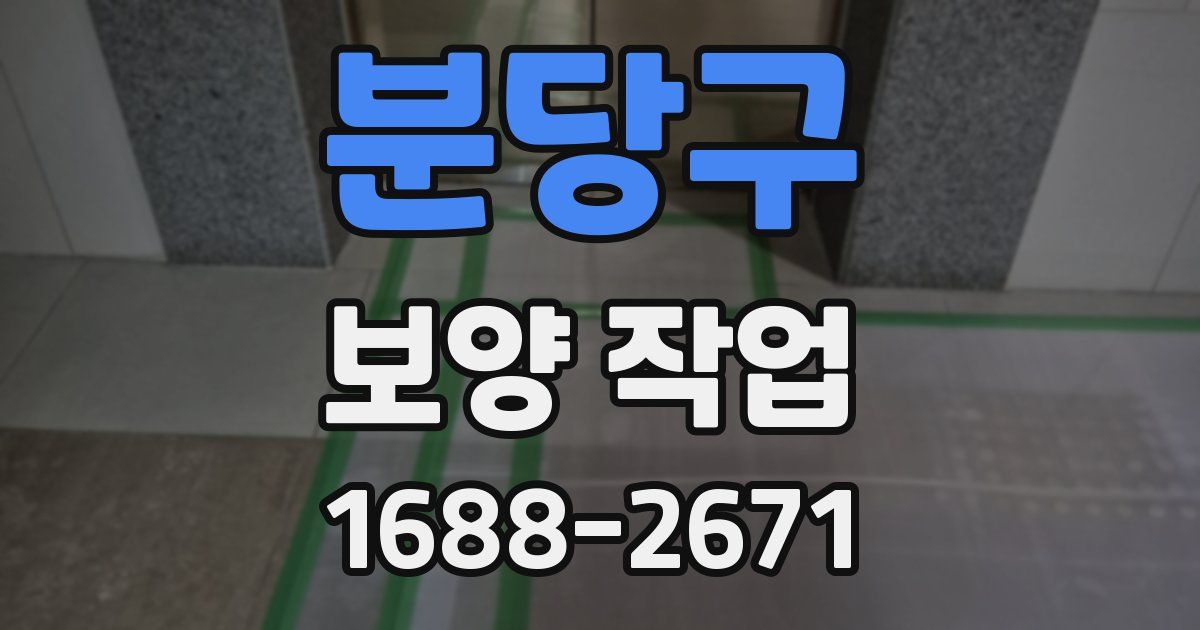 분당구 보양 작업