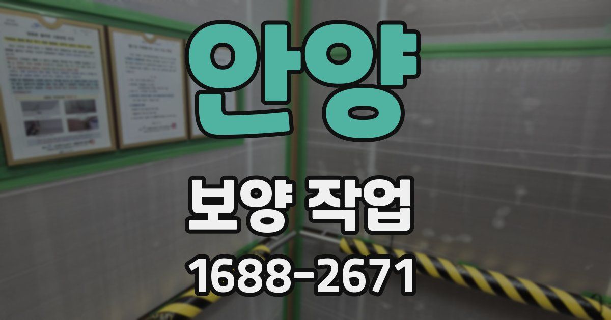 안양 보양 작업