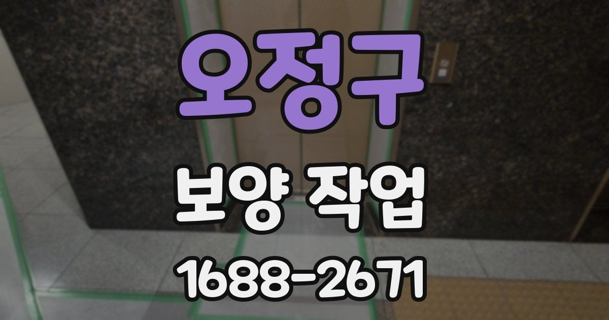 오정구 보양 작업