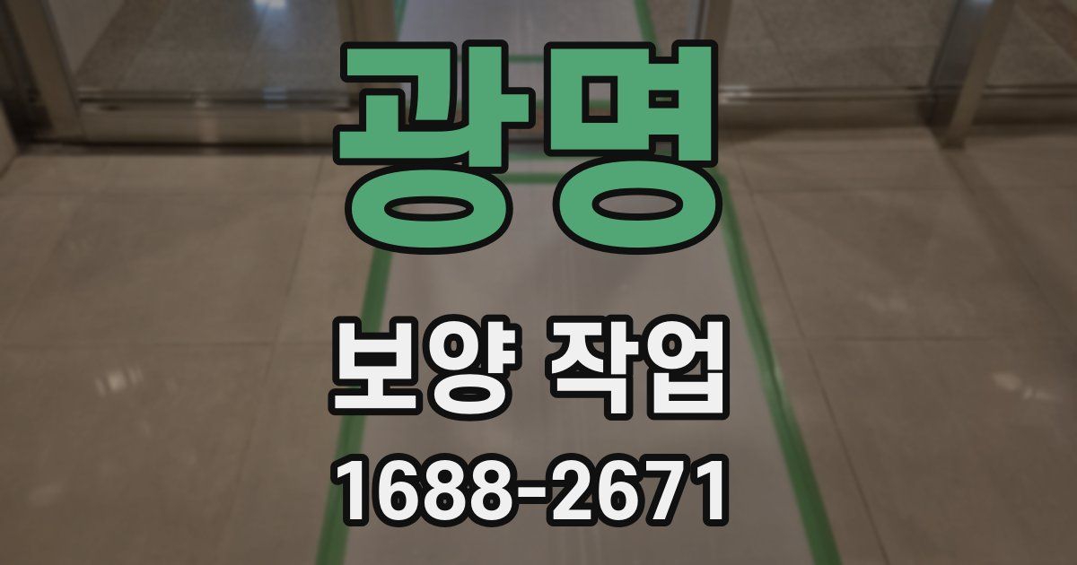 광명 보양 작업