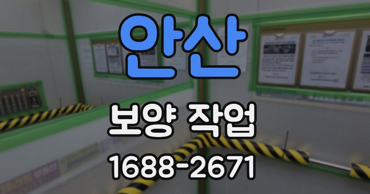 안산 보양 작업
