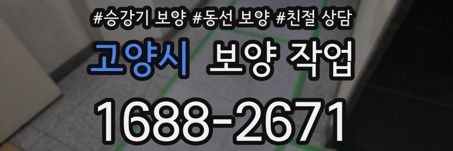 고양시 보양 작업