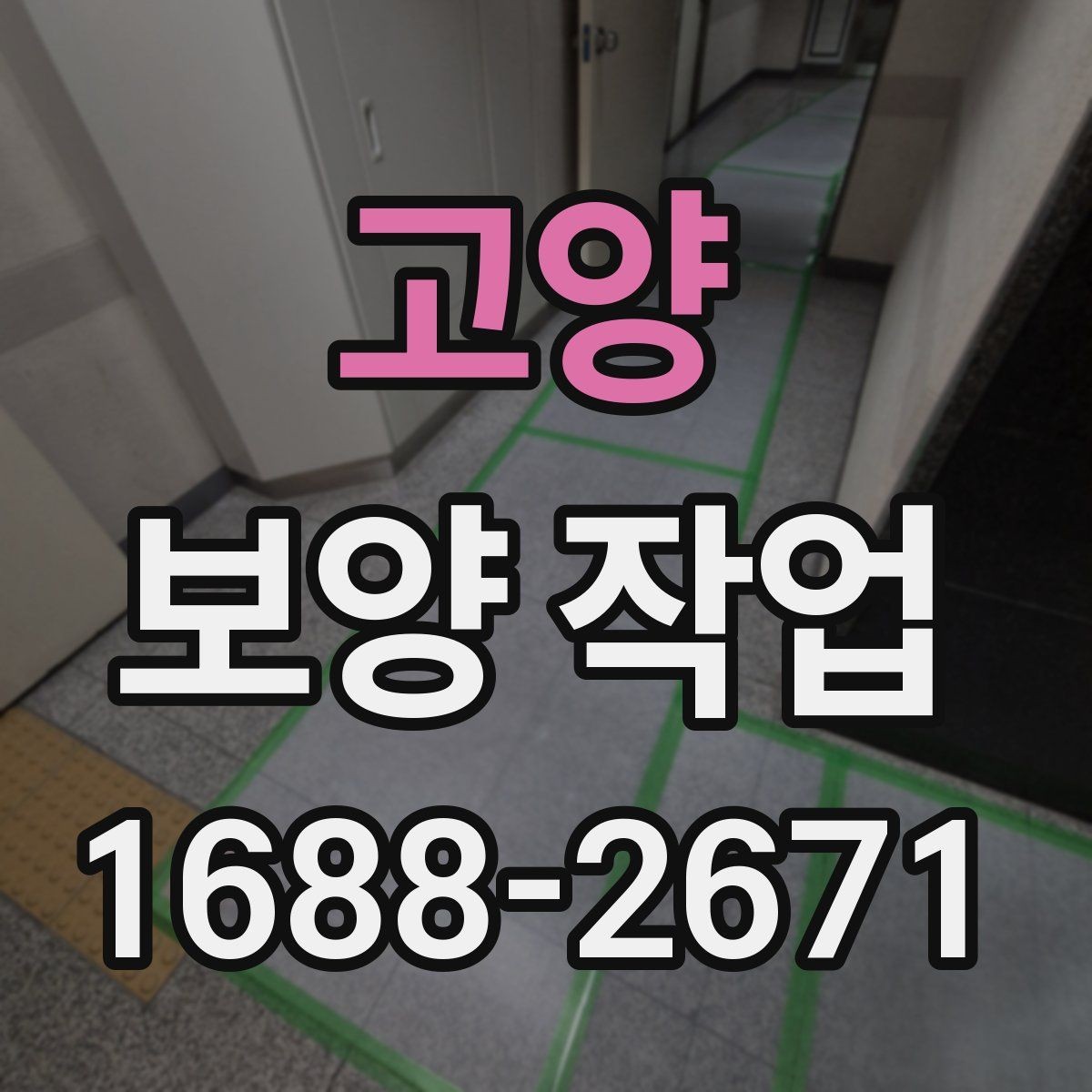 고양 보양 작업 진행 시 비교해야 할 포인트