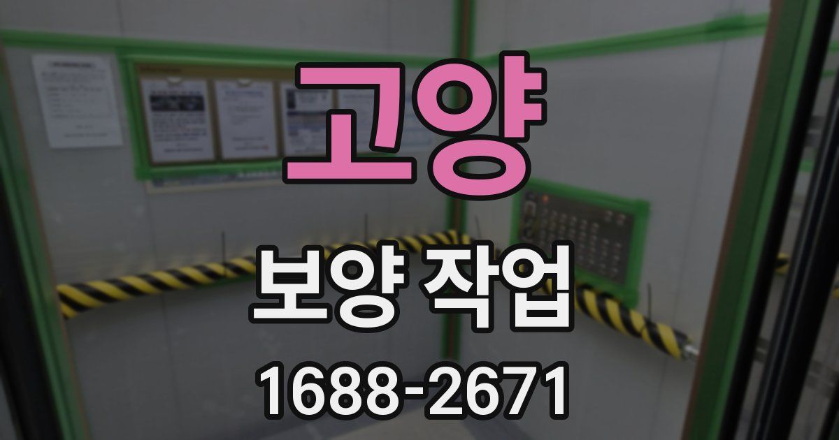 고양 보양 작업