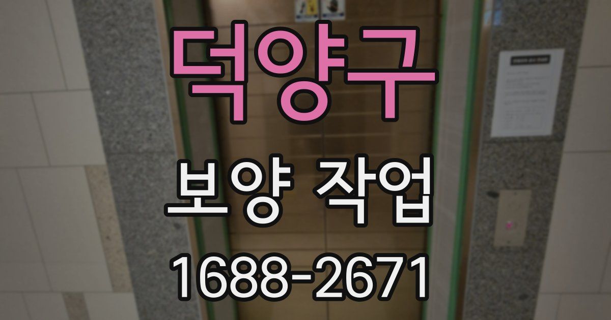 덕양구 보양 작업