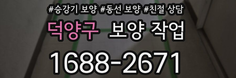 덕양구 보양 작업