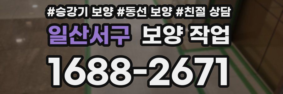 일산서구 보양 작업