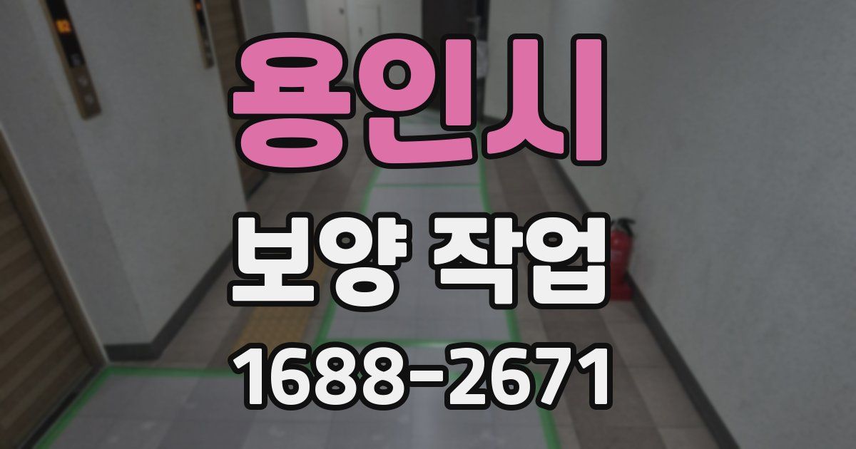 용인시 보양 작업