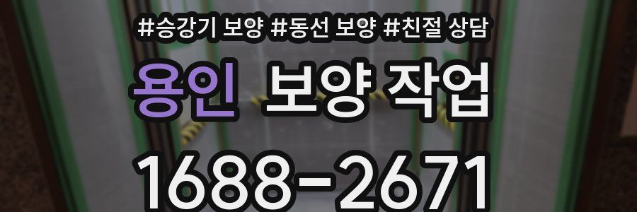 용인 보양 작업