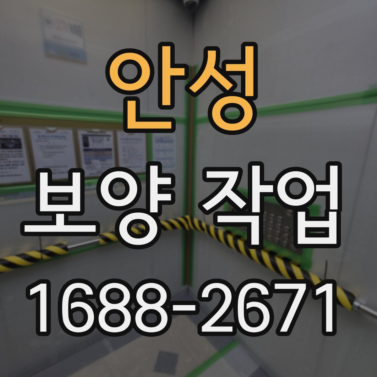 안성 보양 작업