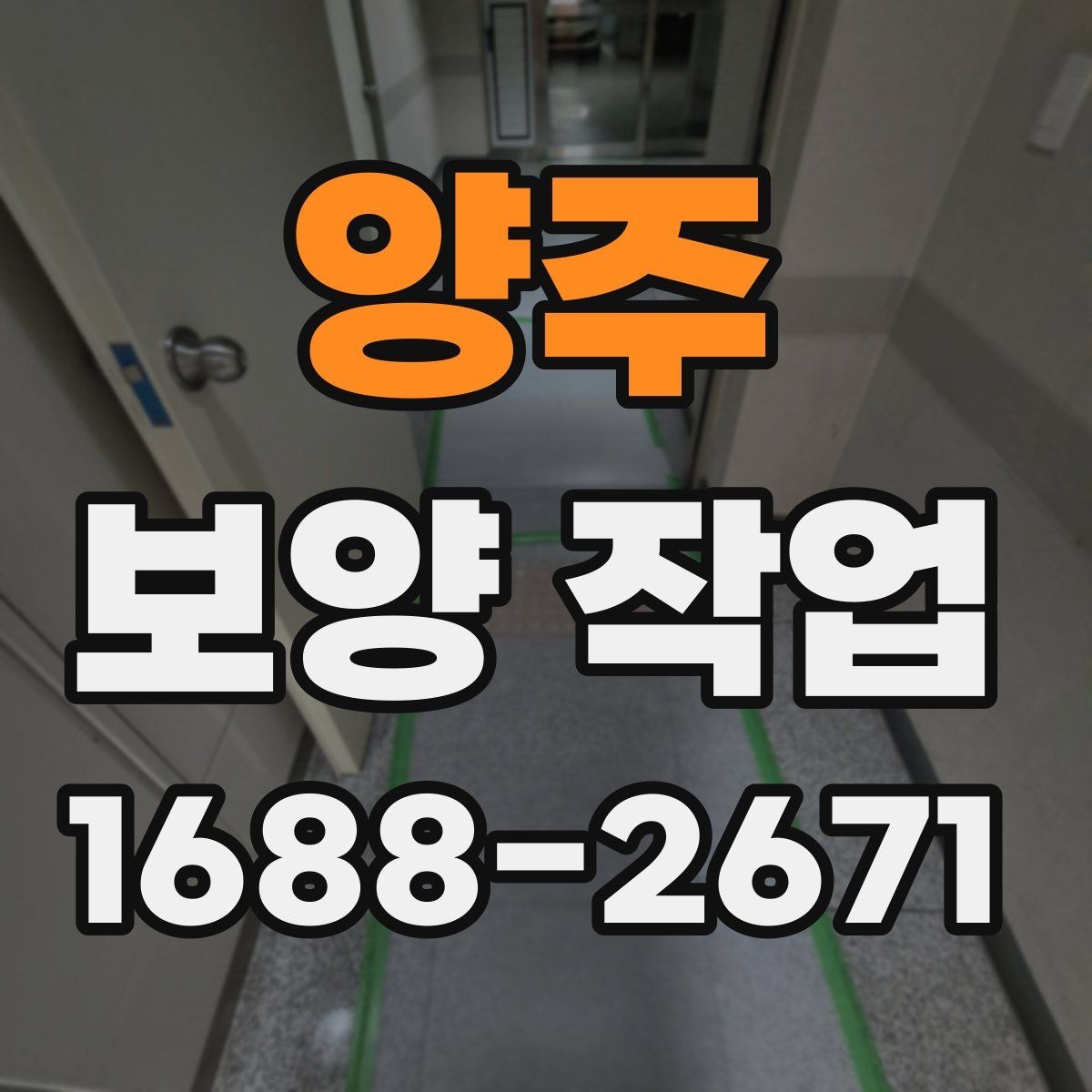 양주 보양 작업 선택 기준과 비교 포인트