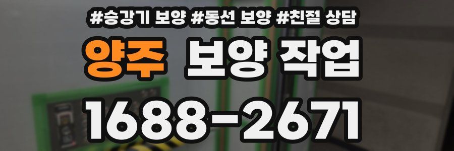 양주 보양 작업