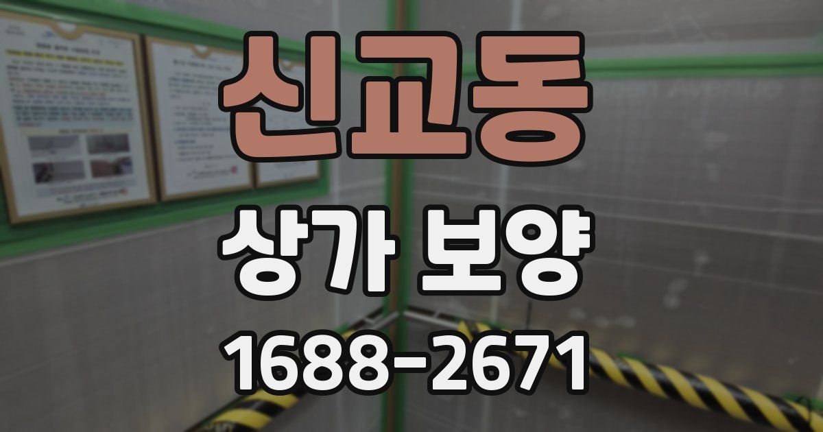 신교동 상가 보양