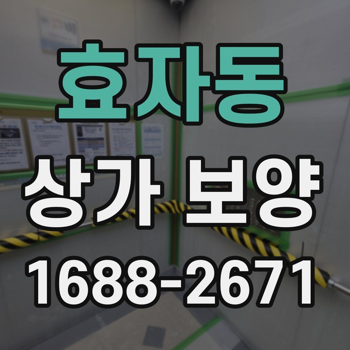 효자동 상가 보양 시 보호 범위 설정 기준