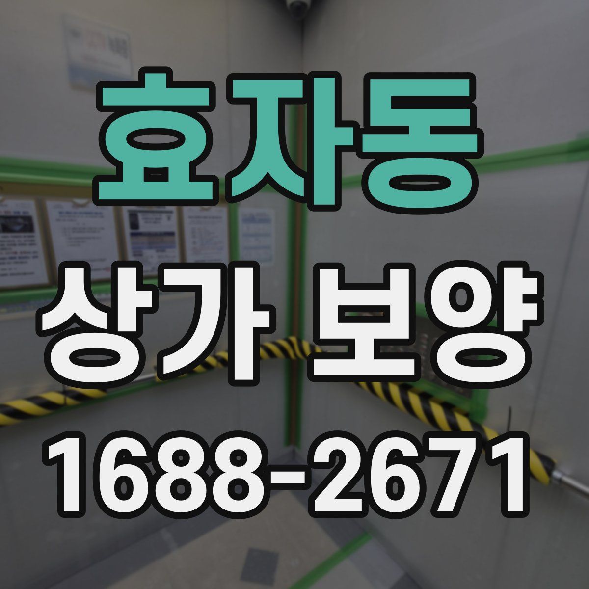 효자동 상가 보양