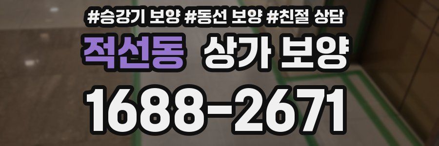 적선동 상가 보양