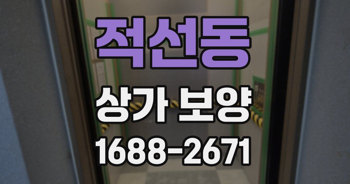 적선동 상가 보양