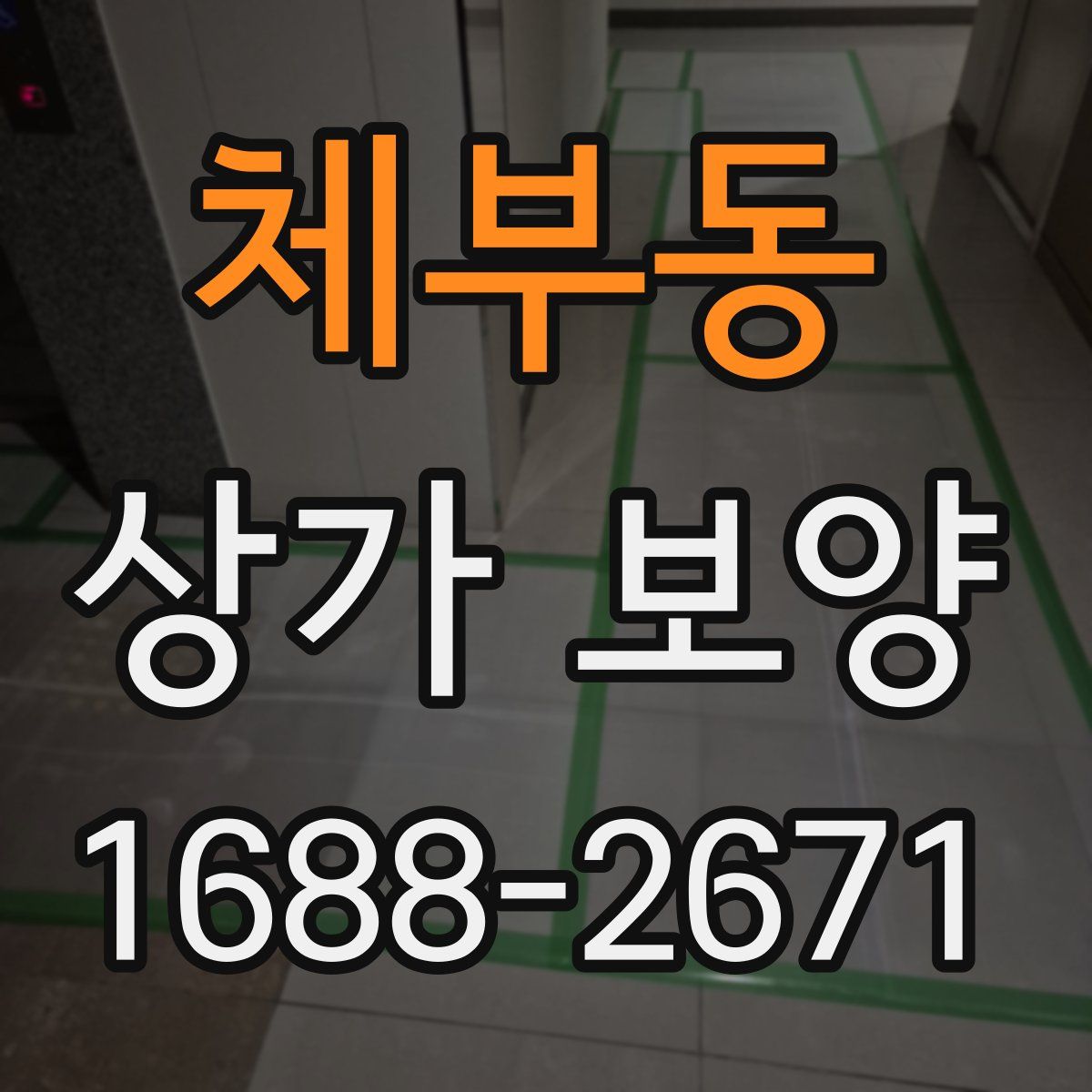 체부동 상가 보양